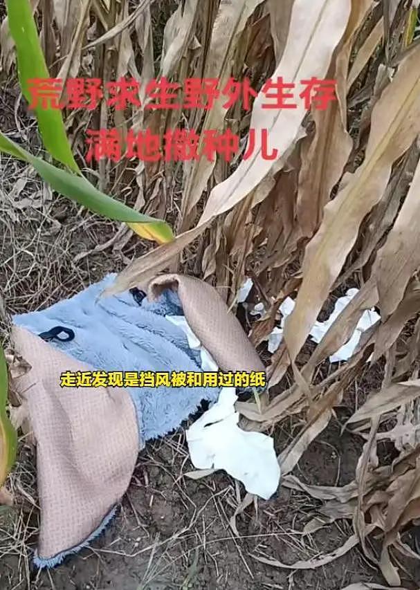 女子跑去玉米地“野战”,农户晒出现场照片:纸巾扔了一地 - 2