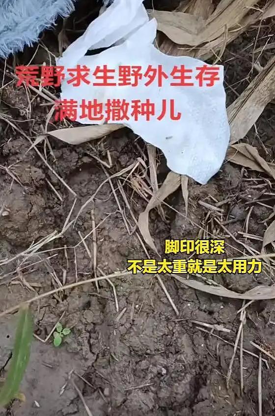 女子跑去玉米地“野战”,农户晒出现场照片:纸巾扔了一地 - 3