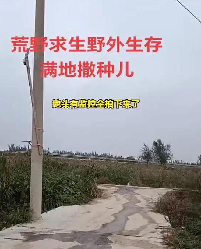 女子跑去玉米地“野战”,农户晒出现场照片:纸巾扔了一地 - 4