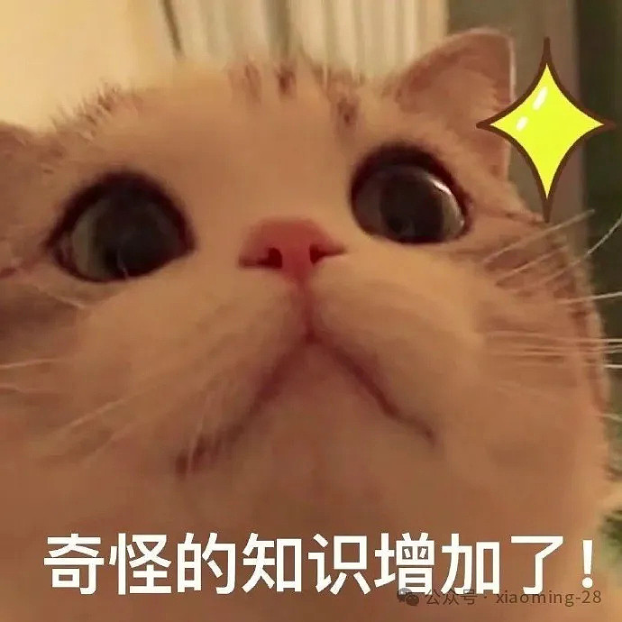 【笑话】极品荤段子，成年人秒懂，个个爆笑 - 4