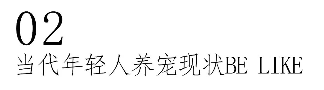 【萌宠】围观了这届年轻人的养宠现状，我悟了 - 6