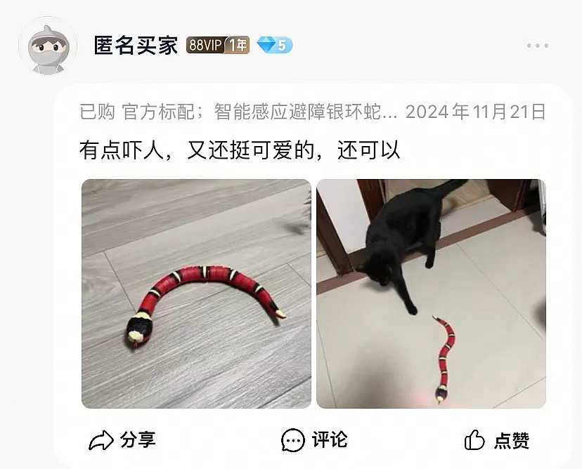 【萌宠】围观了这届年轻人的养宠现状，我悟了 - 4
