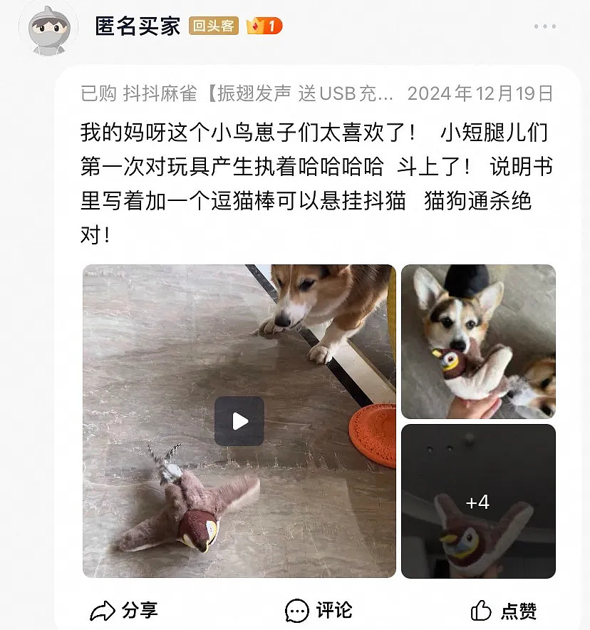 【萌宠】围观了这届年轻人的养宠现状，我悟了 - 5