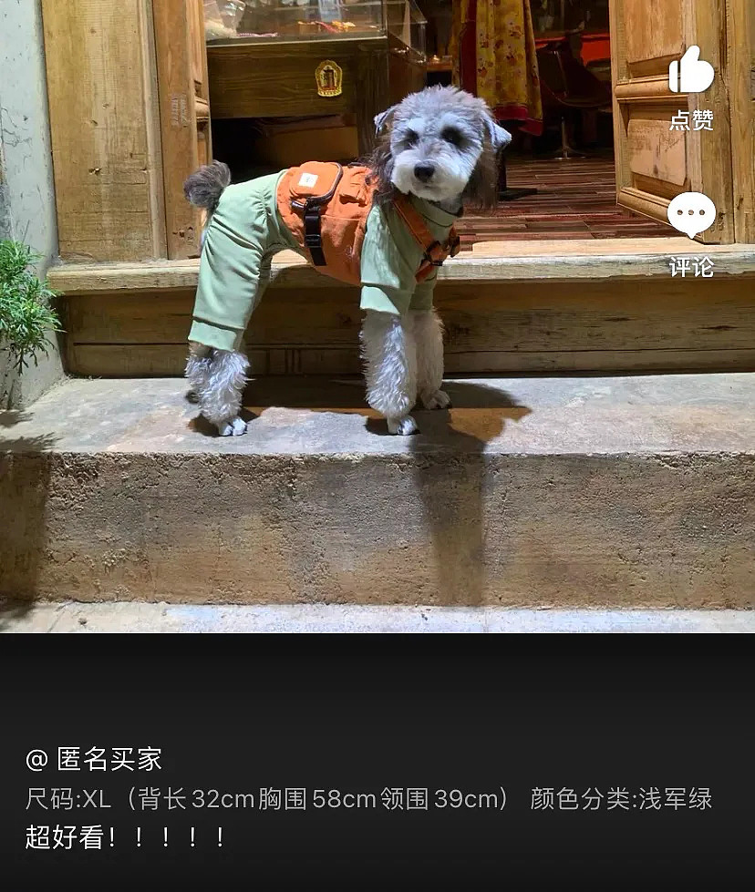【萌宠】围观了这届年轻人的养宠现状，我悟了 - 7