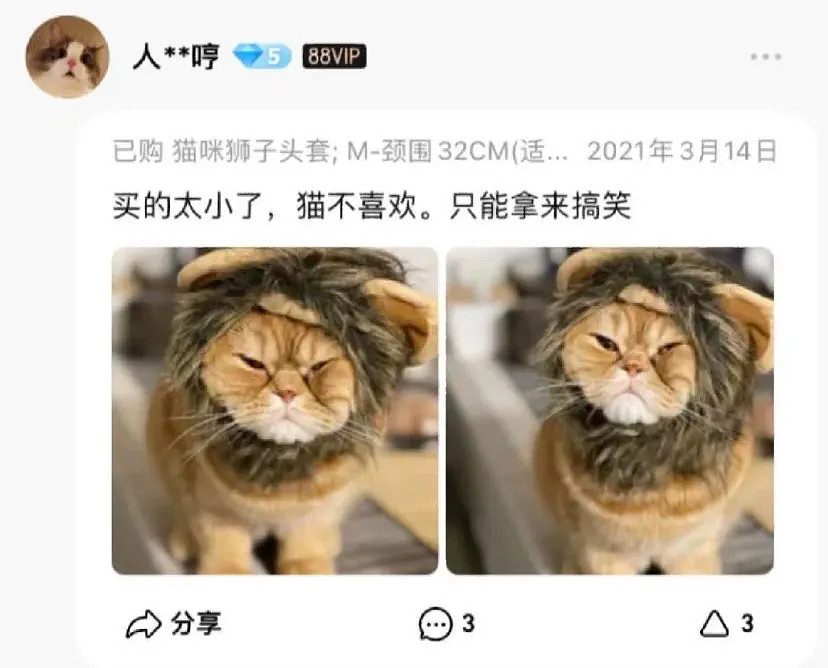 【萌宠】围观了这届年轻人的养宠现状，我悟了 - 15
