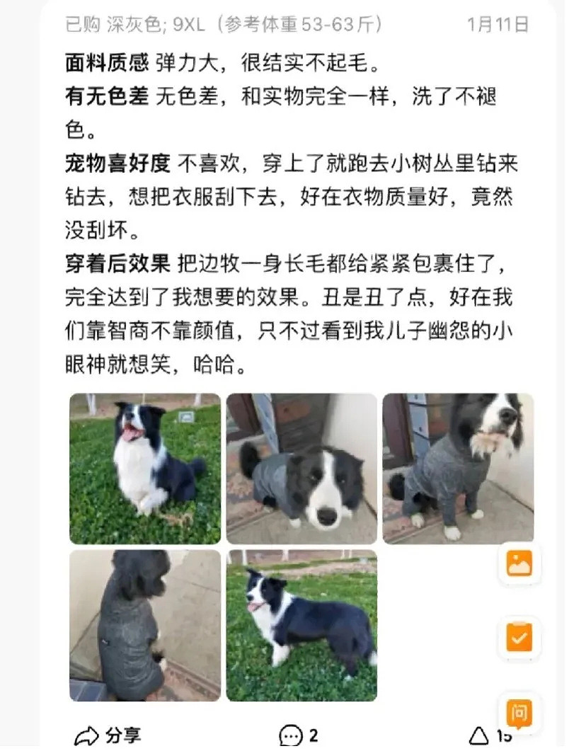 【萌宠】围观了这届年轻人的养宠现状，我悟了 - 14