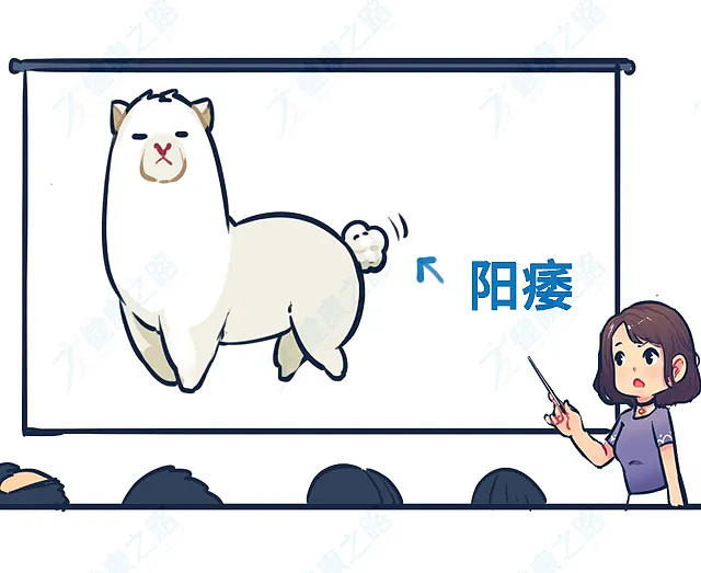 【两性】男人阳痿后，第一时间要怎么补救？（不是吃药） - 1