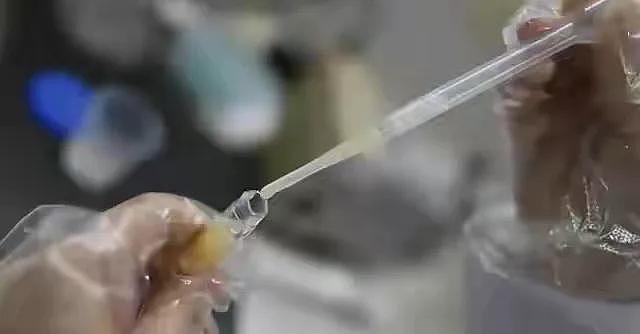 炸裂!捐精有多乱,双方直接在宾馆完成怀孕过程,一次八百到几万(组图) - 3