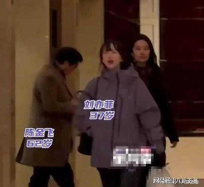 刘亦菲孕态明显疑怀孕停工?与干爹陈金飞纠缠20年,终于修成正果?(组图) - 3