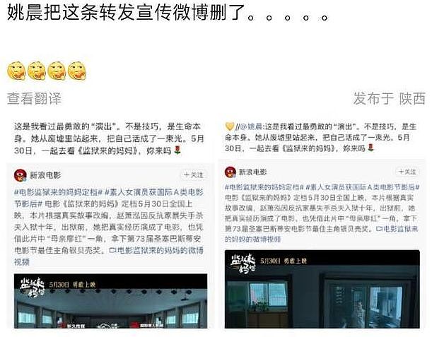 姚晨再度翻车！公然支持女杀人犯，将故意杀人洗白成反抗家暴（组图） - 8