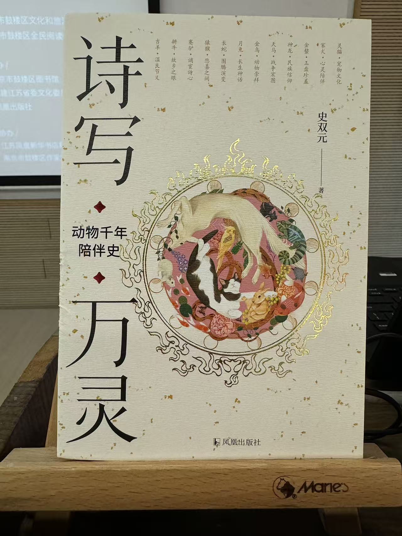 宋人养猫要写聘书？画蛇添足是好事？这场分享会，比科幻片还烧脑（组图） - 6