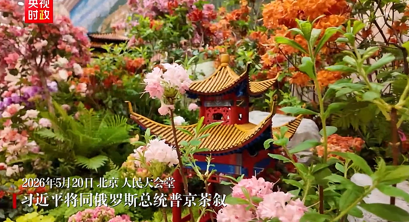 【普京访华】普京结束对中国的国事访问,乘专机离开北京(视频/组图) - 2