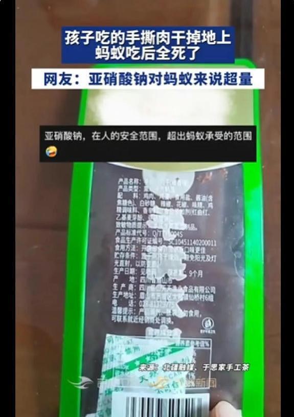 海南一儿童吃手撕肉干碎渣掉地上，蚂蚁群啃食后短时间内集体死亡，“零食配料中有亚硝酸钠对蚂蚁来说超量” - 1