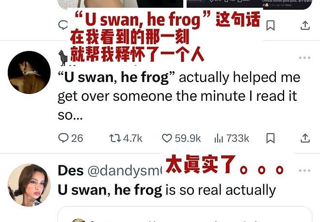 中式英语杀疯了!800年前诺曼贵族埋的坑,中国网友用三个词填上 - 3