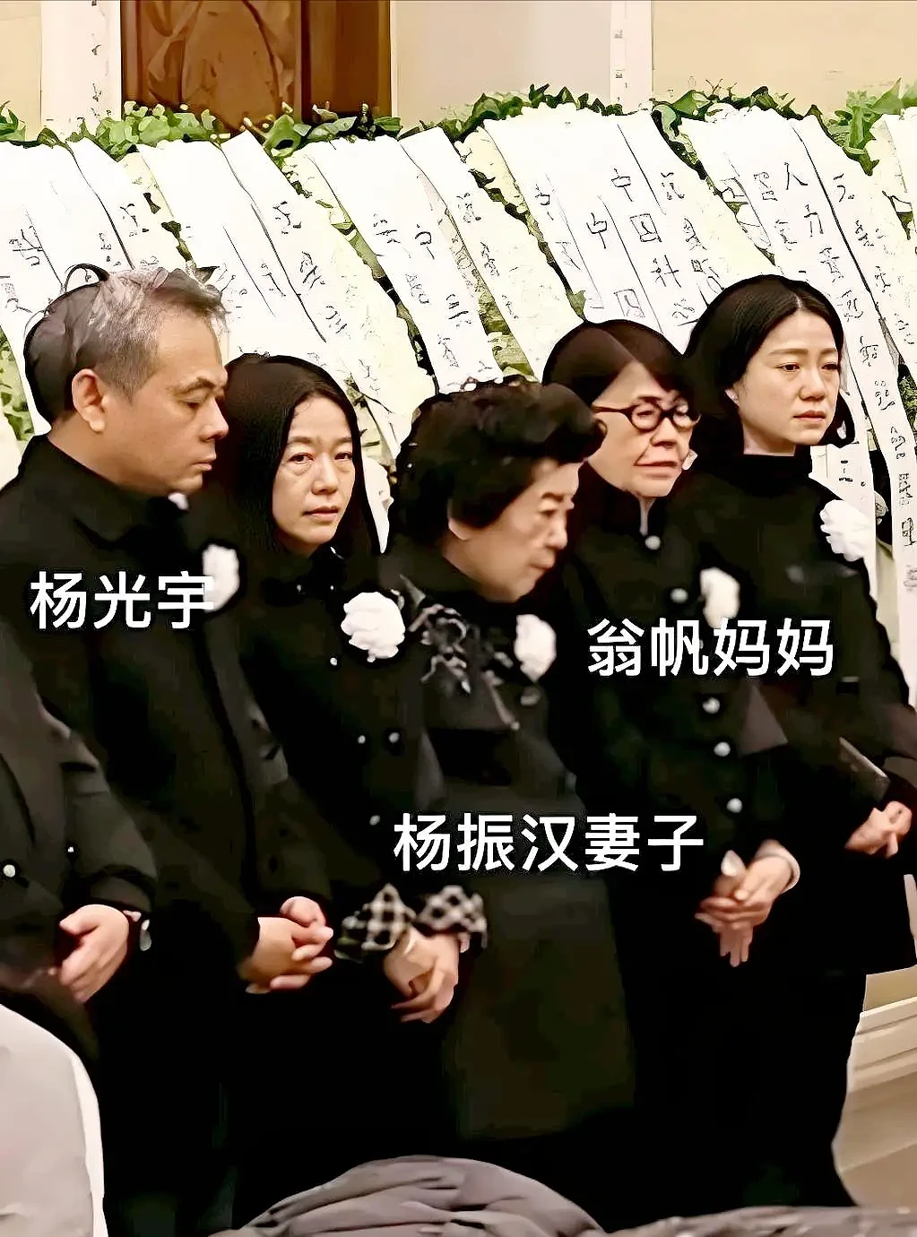 翁帆即将满50岁!杨振宁走后,她只有两大人生目标(组图) - 4