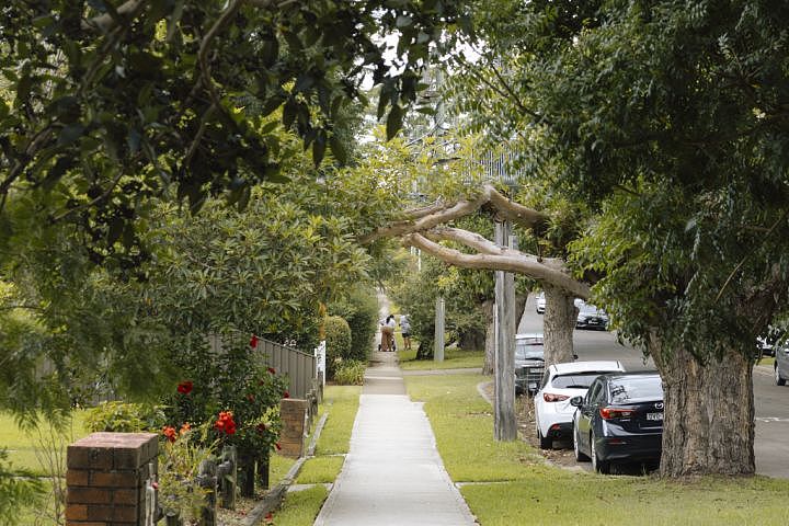 悉尼华人区转型高密度住宅区!老房推倒建高楼,仍有大批华人涌入(组图) - 1