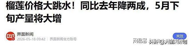 今年榴莲为啥这么便宜?不是商超良心发现,而是东南亚供应链崩了 - 6