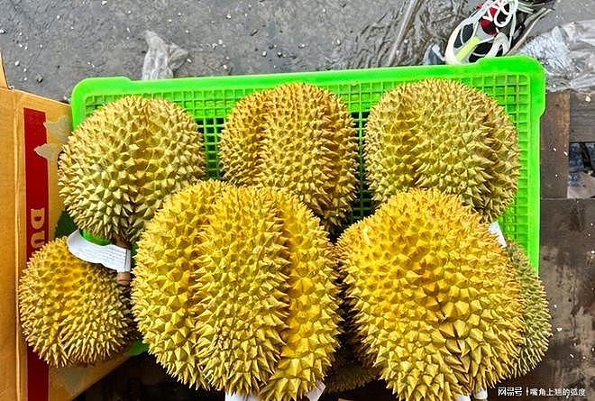 今年榴莲为啥这么便宜?不是商超良心发现,而是东南亚供应链崩了 - 22