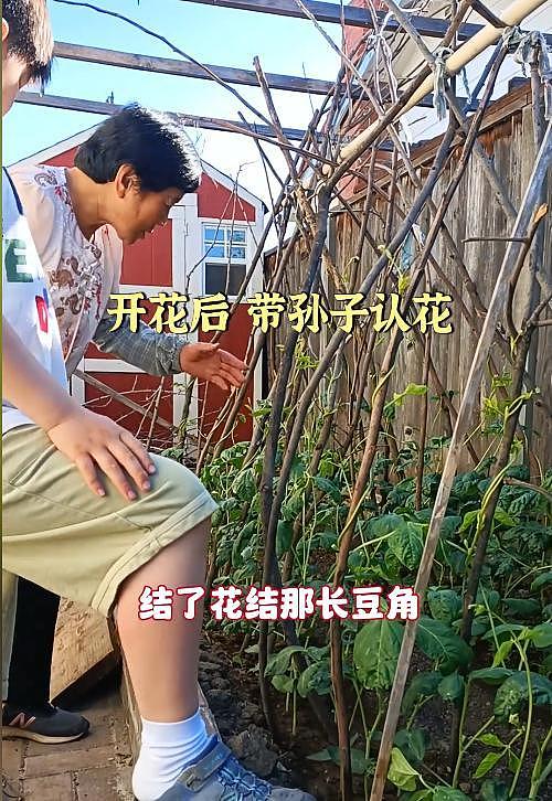 在美卖菜的山东大娘在硅谷集市站稳脚跟，儿子职业曝光，太有实力 - 2