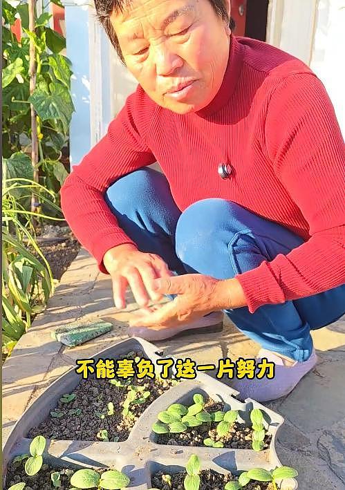 在美卖菜的山东大娘在硅谷集市站稳脚跟，儿子职业曝光，太有实力 - 4