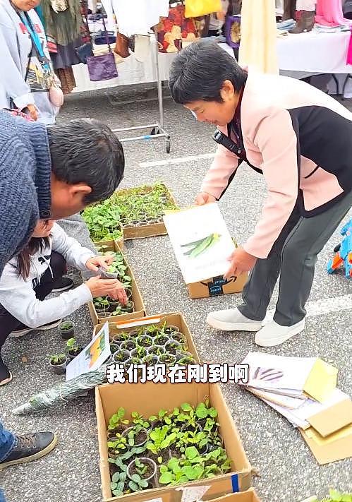 在美卖菜的山东大娘在硅谷集市站稳脚跟，儿子职业曝光，太有实力 - 5