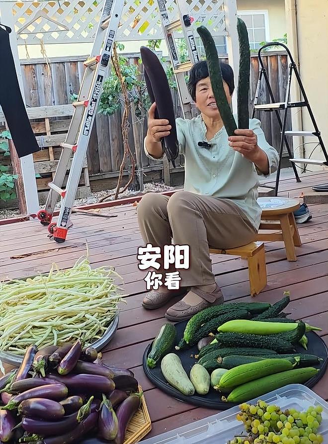 在美卖菜的山东大娘在硅谷集市站稳脚跟，儿子职业曝光，太有实力 - 7