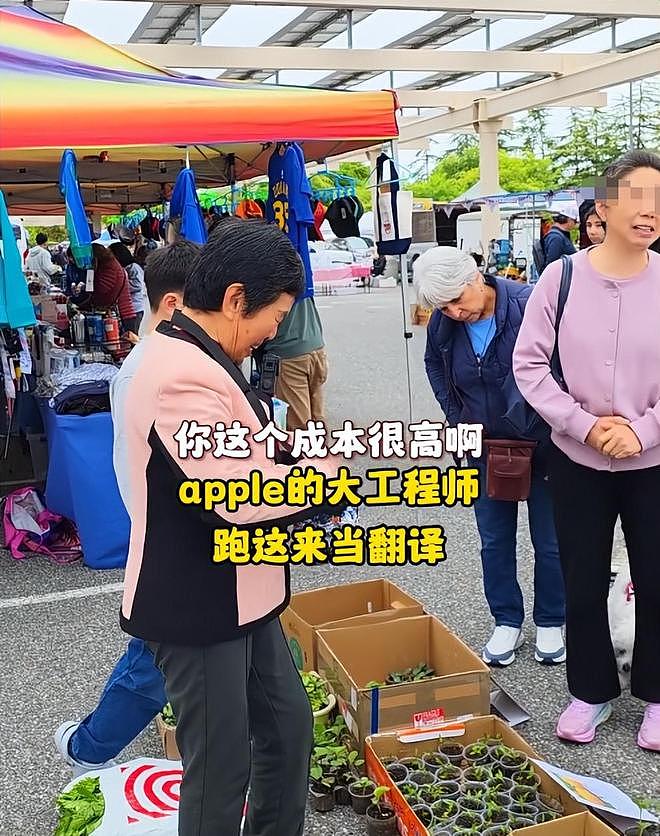 在美卖菜的山东大娘在硅谷集市站稳脚跟，儿子职业曝光，太有实力 - 8
