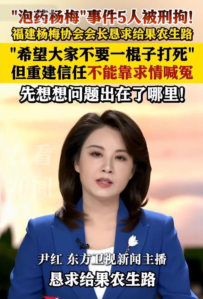毒杨梅事件刑拘5人后续!新华社一锤定音,会长求饶生路恐被堵死 - 2