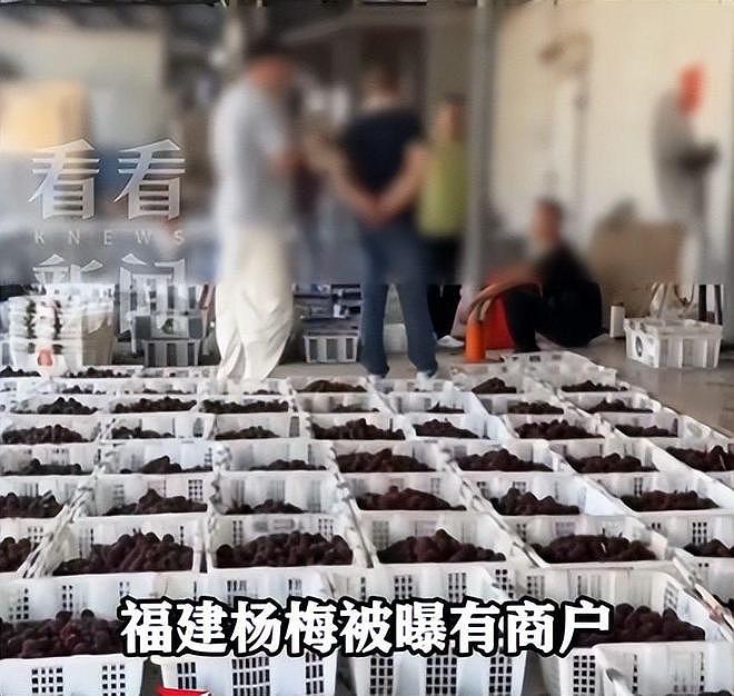 毒杨梅事件刑拘5人后续!新华社一锤定音,会长求饶生路恐被堵死 - 3