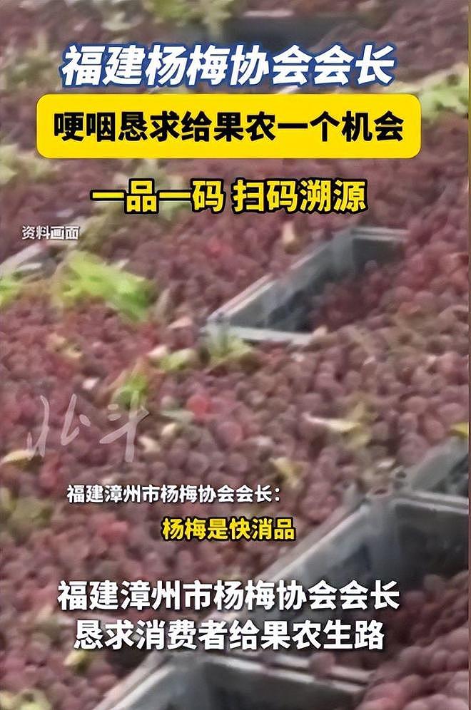 毒杨梅事件刑拘5人后续!新华社一锤定音,会长求饶生路恐被堵死 - 5