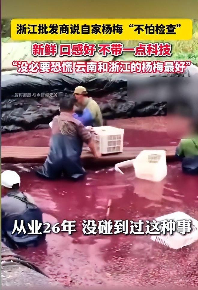 毒杨梅事件刑拘5人后续!新华社一锤定音,会长求饶生路恐被堵死 - 7