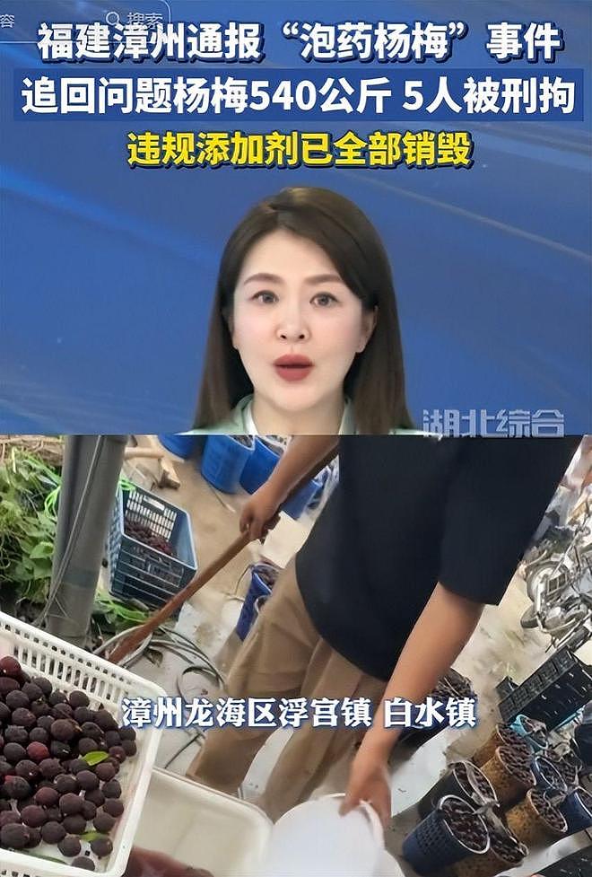 毒杨梅事件刑拘5人后续!新华社一锤定音,会长求饶生路恐被堵死 - 10
