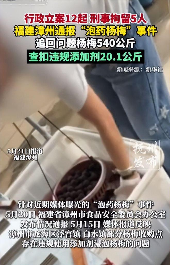 毒杨梅事件刑拘5人后续!新华社一锤定音,会长求饶生路恐被堵死 - 11