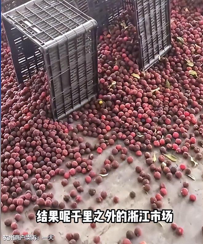 毒杨梅事件刑拘5人后续!新华社一锤定音,会长求饶生路恐被堵死 - 12