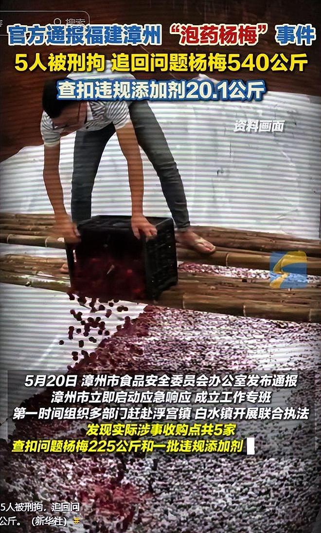 毒杨梅事件刑拘5人后续!新华社一锤定音,会长求饶生路恐被堵死 - 16