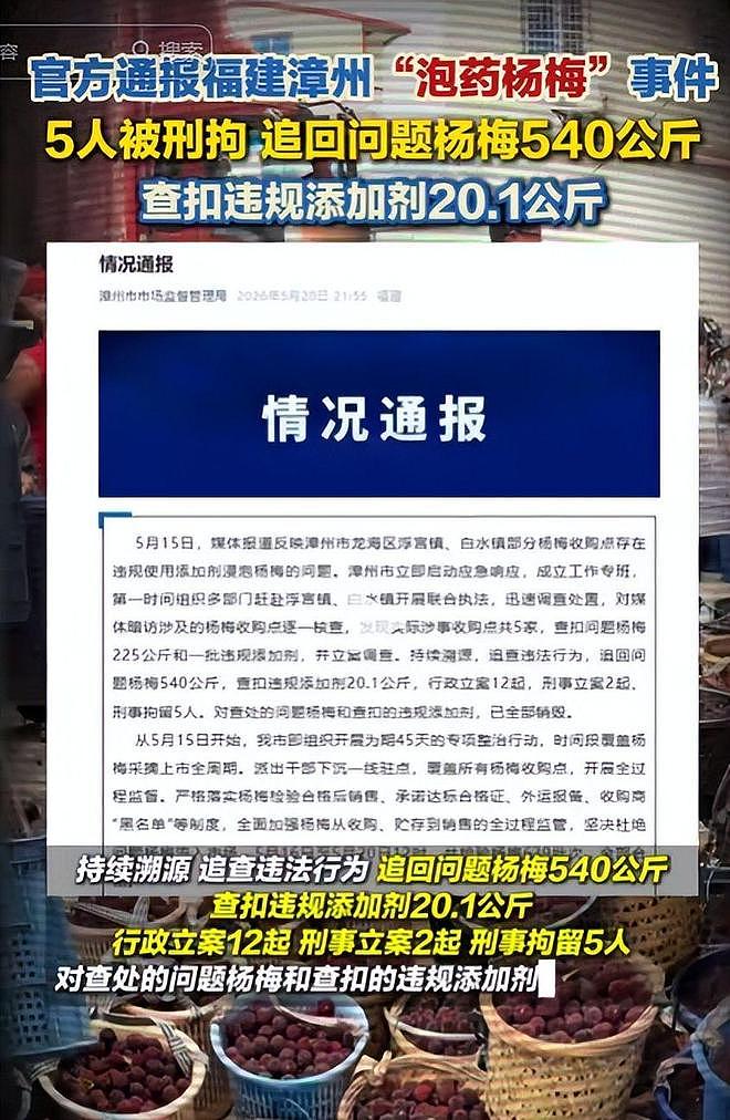 毒杨梅事件刑拘5人后续!新华社一锤定音,会长求饶生路恐被堵死 - 17