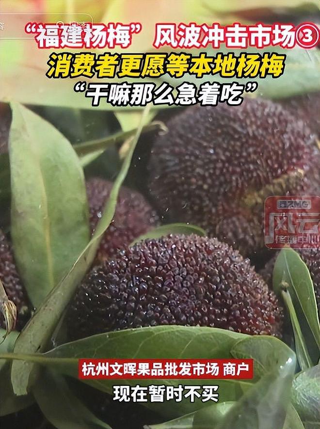 毒杨梅事件刑拘5人后续!新华社一锤定音,会长求饶生路恐被堵死 - 18