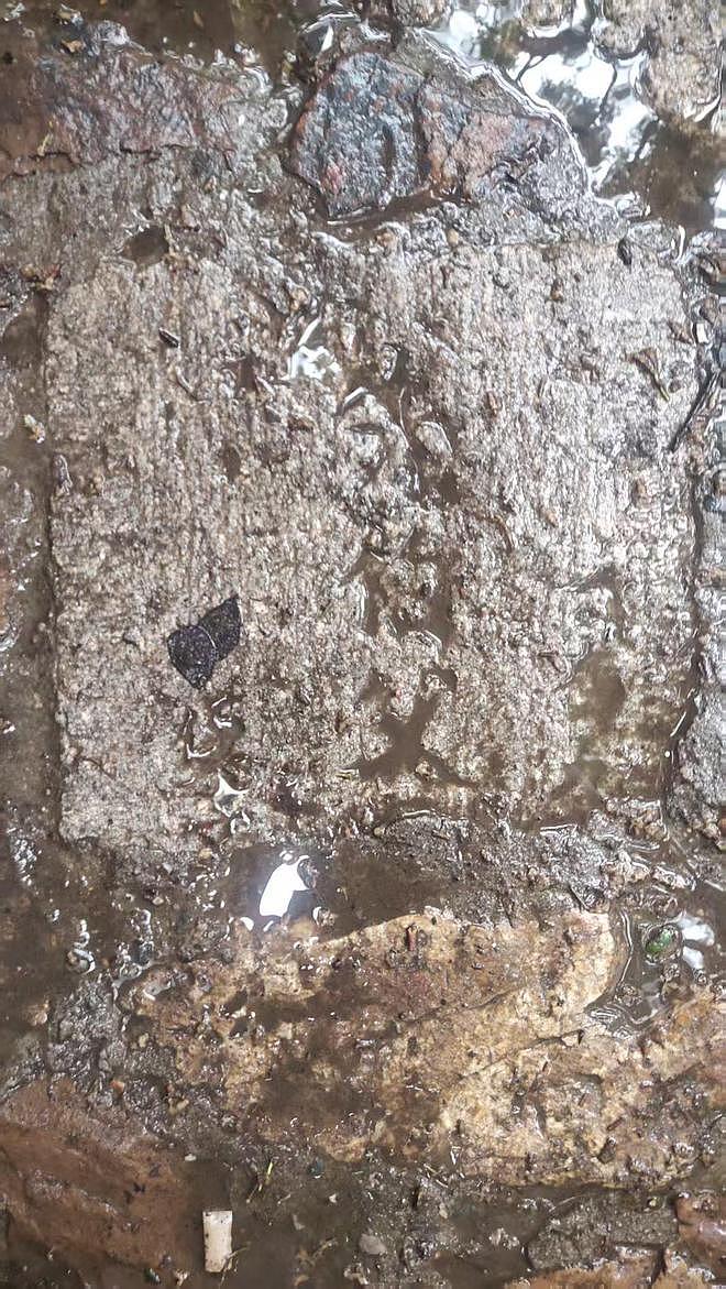 无锡惠山国家森林公园用墓碑铺路?园区:系就地取材的无主墓碑 - 1