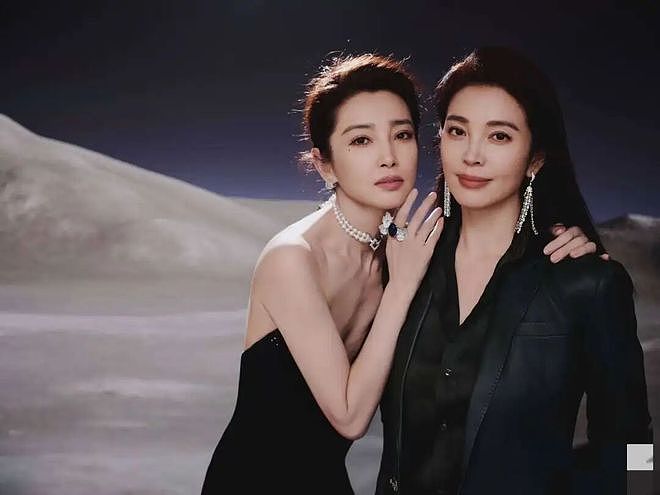 李冰冰与妹妹冷战3个月：亲人合伙，是铠甲也是软肋！ - 1