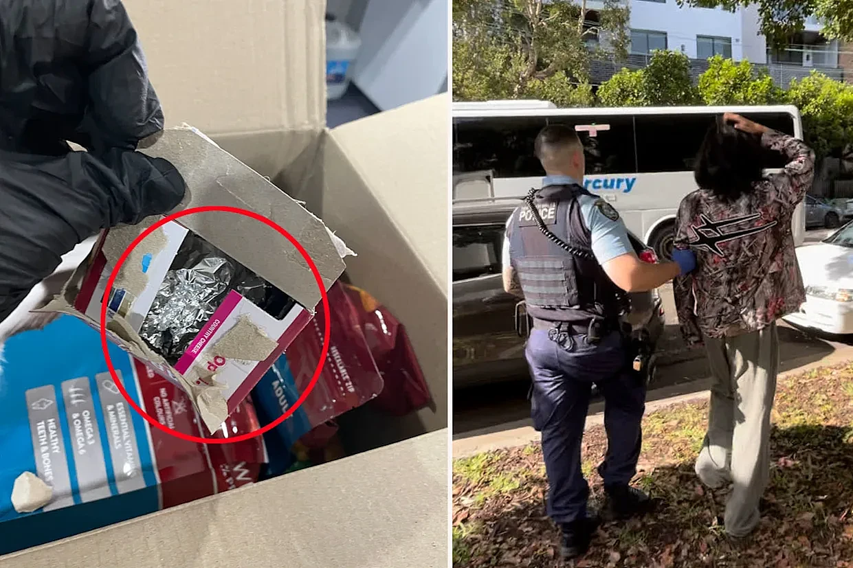 澳华男走私野生动物被捕！将活体乌龟塞进狗粮袋寄香港，获刑两年半（组图） - 1
