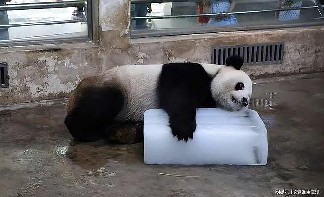 印度47度高温电力告急,莫迪政府甩锅中国引争议(组图) - 10