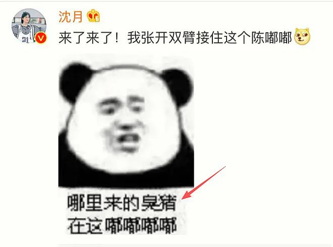 王鹤棣沈月风波升级！两人均被深扒，沈月也被回旋镖射中了（组图） - 5