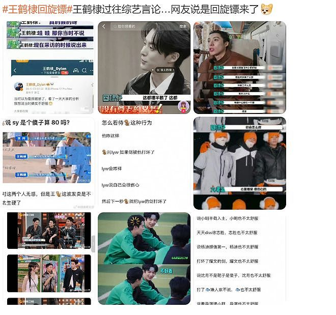 王鹤棣沈月风波升级！两人均被深扒，沈月也被回旋镖射中了（组图） - 14