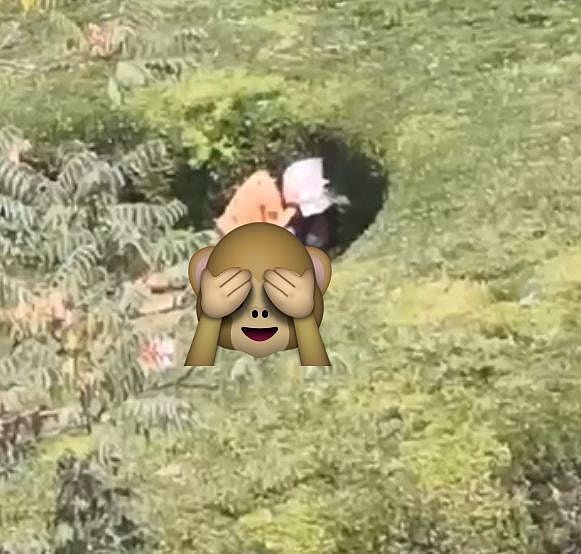巨坑“活春宫”！男女草坑激战洞中有洞，成打卡热点兼楼房卖点（视频/组图） - 2