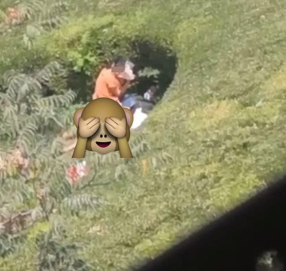 巨坑“活春宫”！男女草坑激战洞中有洞，成打卡热点兼楼房卖点（视频/组图） - 5
