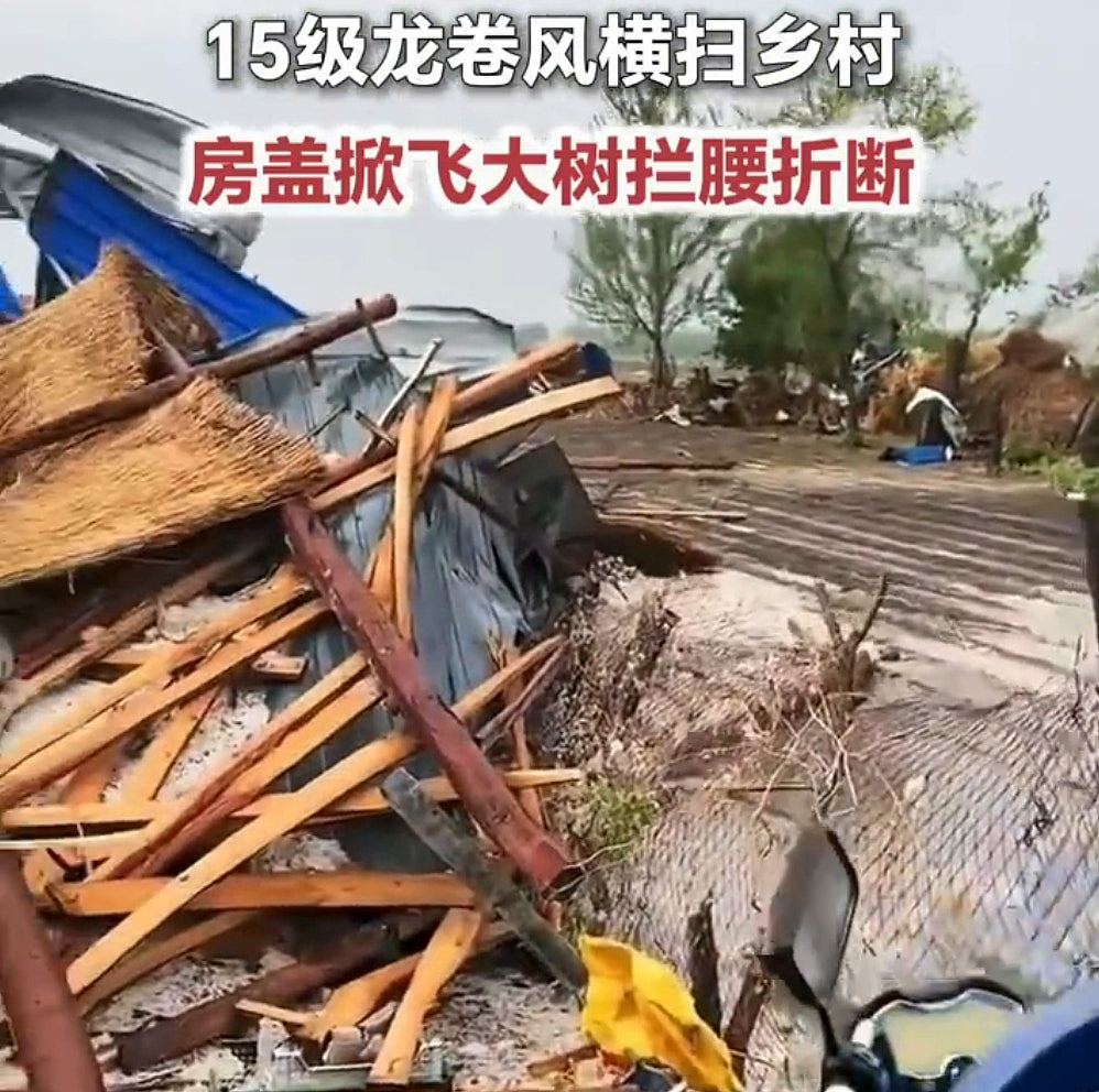 黑龙江一地遭15级龙卷风袭击！房顶被掀大树折断，村民：百年未见（组图） - 5