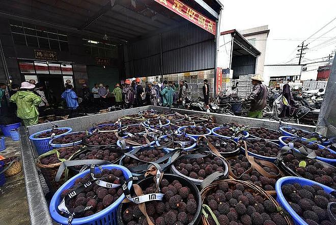 “泡药杨梅”被封杀后,果农紧急抛售,收购价30块跌到8毛钱(组图) - 6