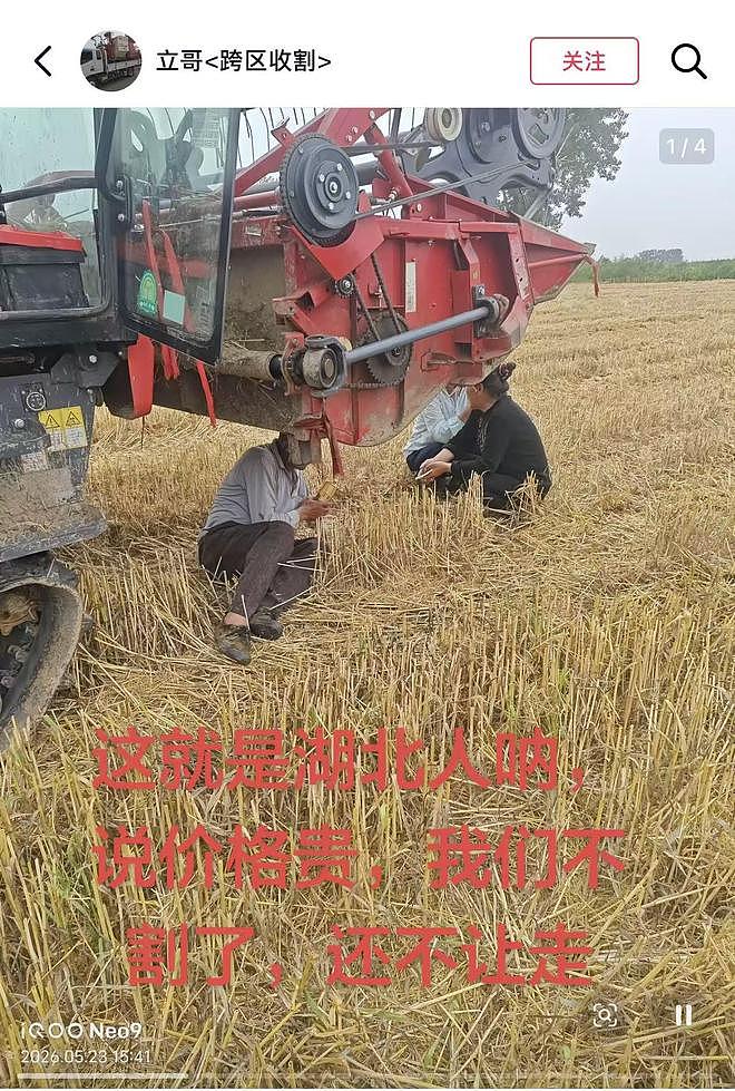 湖北小麦收割惹争议，外地收割机喊着不来了，当地人称坐地起价（组图） - 3