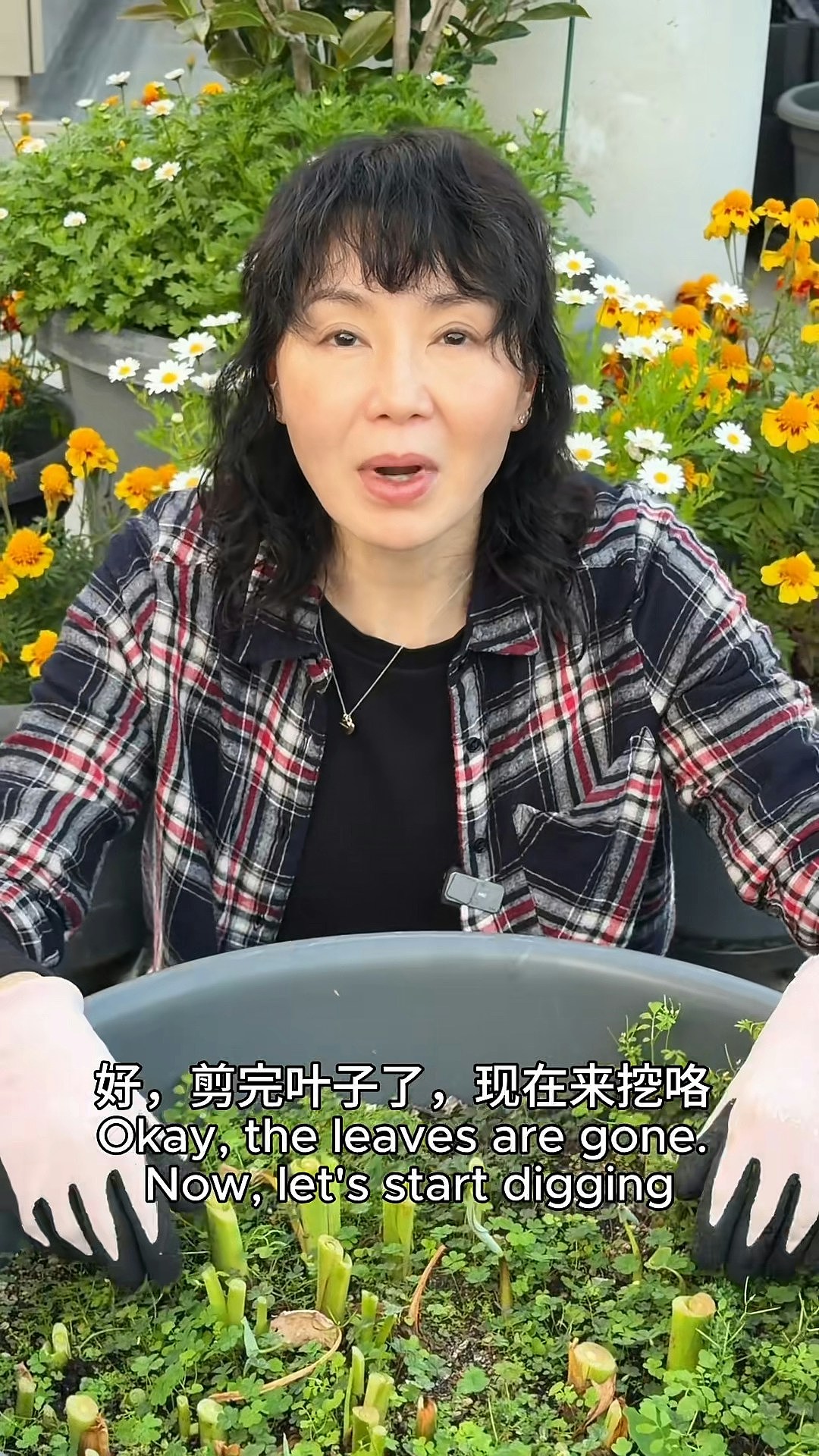 张曼玉分享法国简朴生活：自制果酱，豪宅厨房超大设备齐全（组图） - 3