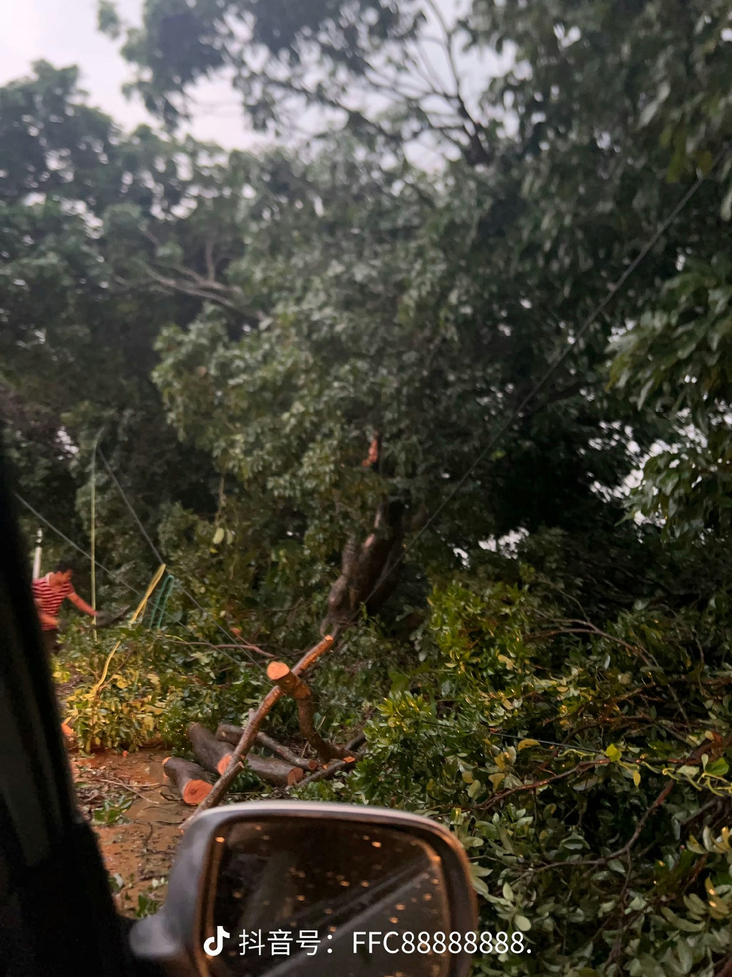 广州惊现龙卷风!肆虐3分钟掀翻工地建筑,大树连根拔起(视频/组图) - 8